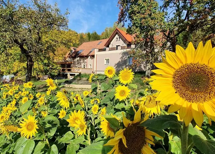 Bozska Usedlost Loktuse